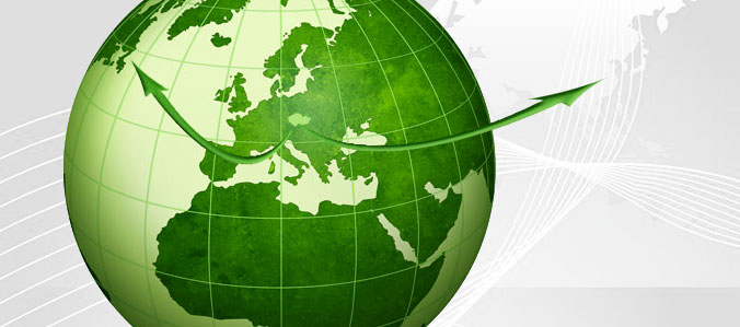 Pro Export Plus